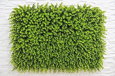 《怪物猎人崛起：曙光》迅速切换介绍 6月30日发售